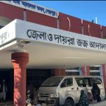 শেরপুরে সহোদর ভাইকে হত্যার দায়ে ছোটভাইয়ের যাবজ্জীবন কারাদণ্ড 3 1763376455298